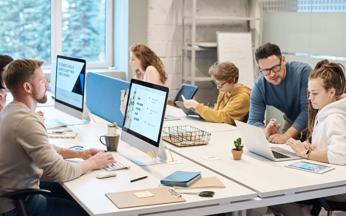 Company team working at their computers